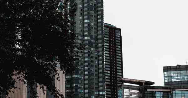 AI技术驱动金融机构发展，AI技术驱动金融机构发展现状