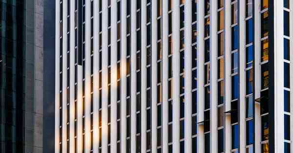 外国语单招大数据的行业文章