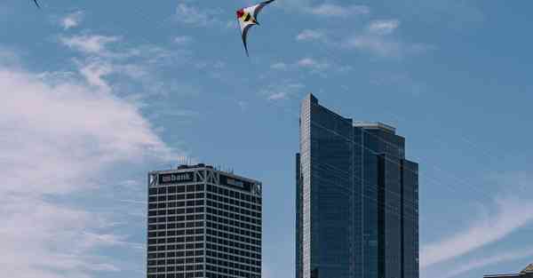 外国语单招大数据的行业文章