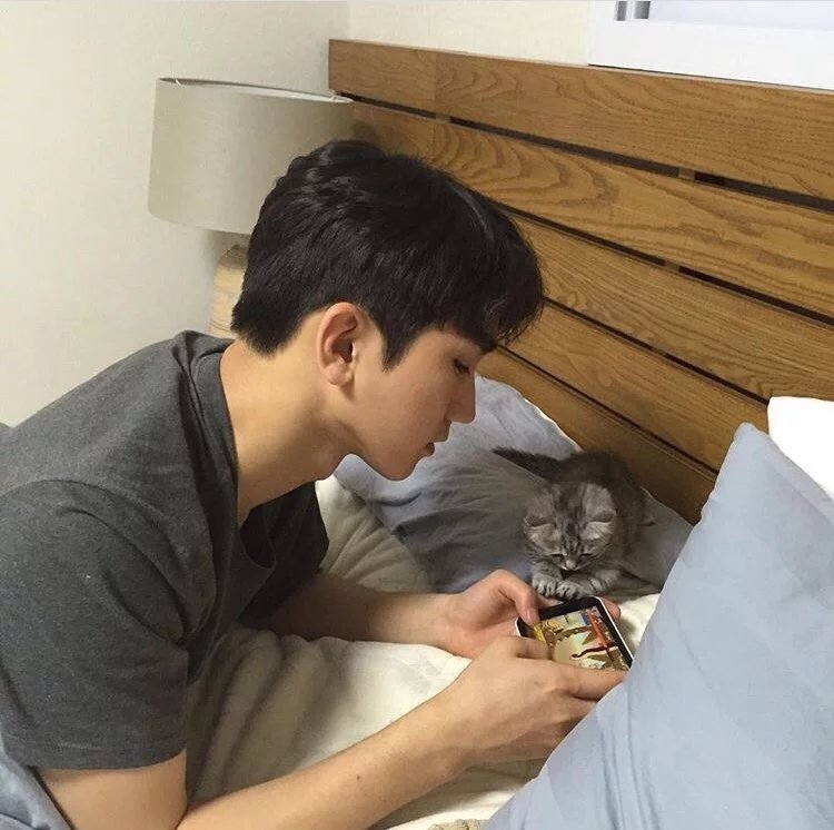 苗贝雅飘