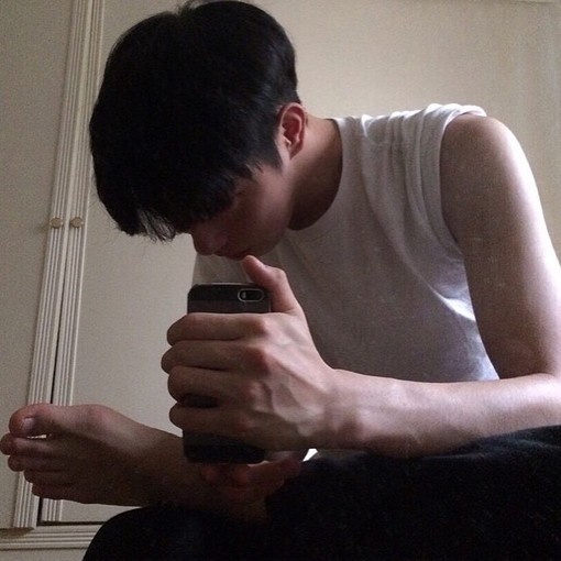 樊清安毅