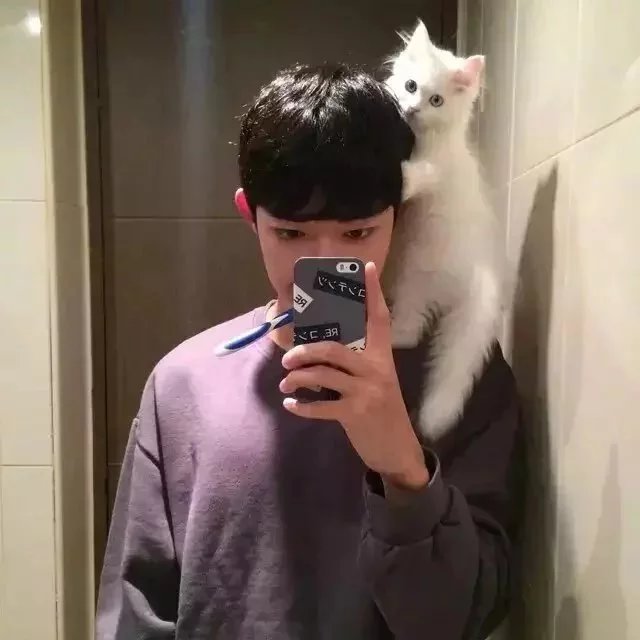 舒雯霄慧